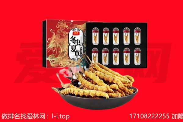 滨州阳信县回收虫草.jpg